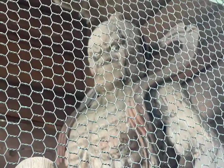 屋島寺(香川県)