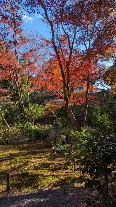 来迎院(京都府)