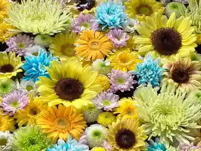 月寒神社の手水舎