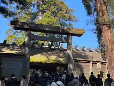 伊勢神宮内宮（皇大神宮）(三重県)