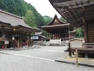 日吉大社の本殿・本堂