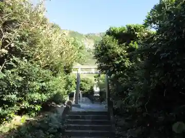 淡井神社(淡井姫大明神)(東京都)