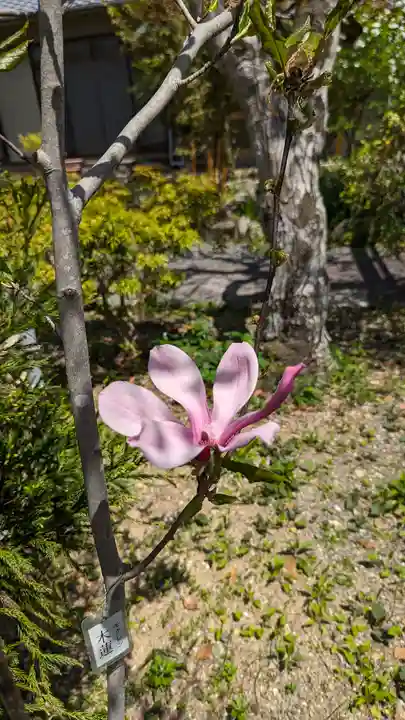 惠心院(京都府)