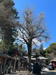 下総国三山　二宮神社(千葉県)