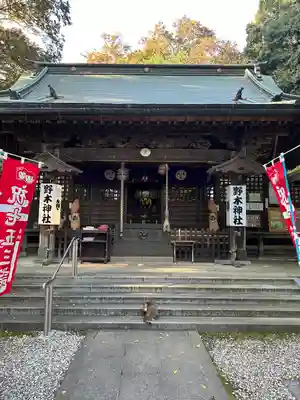野木神社の本殿・本堂