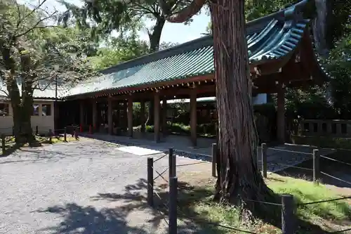 三嶋大社(静岡県)