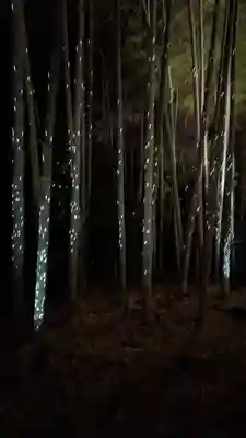 高台寺（高台寿聖禅寺・高臺寺）(京都府)