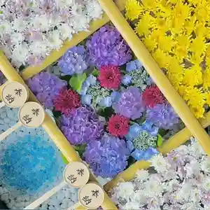 土津神社|こどもと出世の神さま(福島県)(2024年07月08日(月) 10時23分56秒投稿)