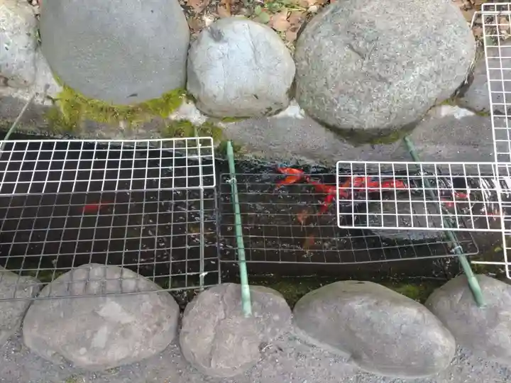 阿佐ヶ谷神明宮(東京都)