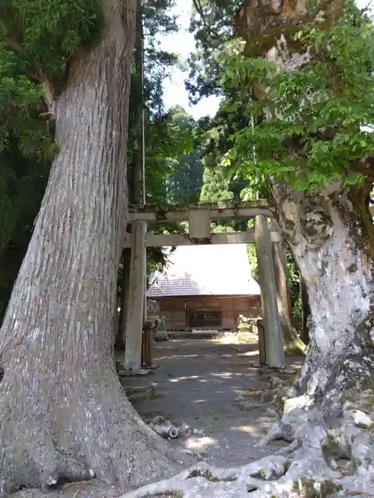 白山神社(福井県)