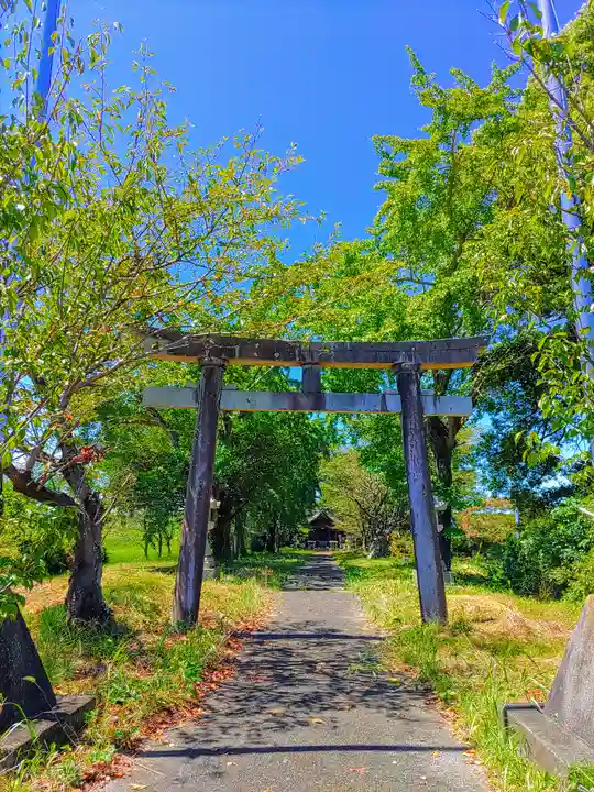 八幡神社(馬飼)の鳥居