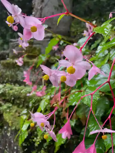 水潜寺(埼玉県)