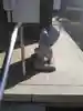 廣渡寺の像