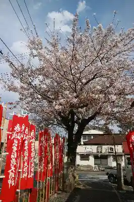 笠間稲荷神社の自然