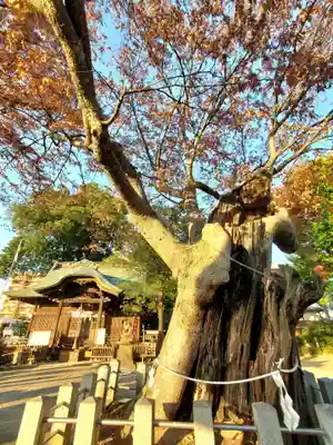 阿邪訶根神社(福島県)