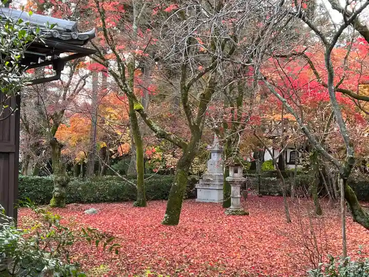 真正極楽寺(真如堂)(京都府)