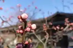 菅原天満宮（菅原神社）の自然