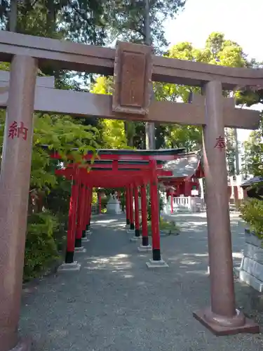 亀ケ池八幡宮の鳥居