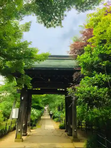 本土寺の山門