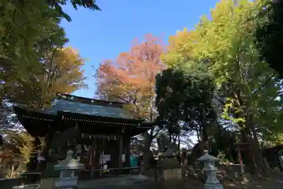 熊野福藏神社の本殿・本堂