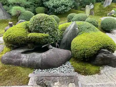 霊雲院(京都府)