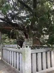 高砂神社の庭園