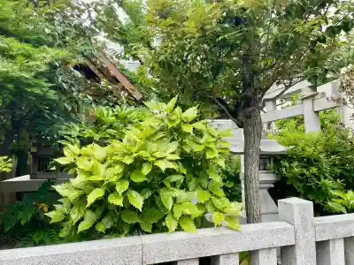 善治稲荷神社(東京都)