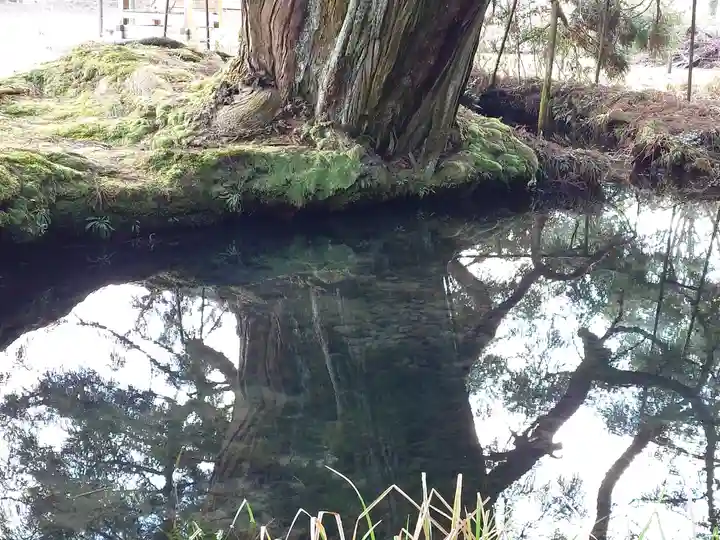 一本杉神社(島根県)