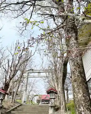 釧路一之宮 厳島神社の鳥居