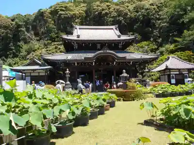 三室戸寺の本殿・本堂