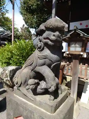 七社神社の狛犬