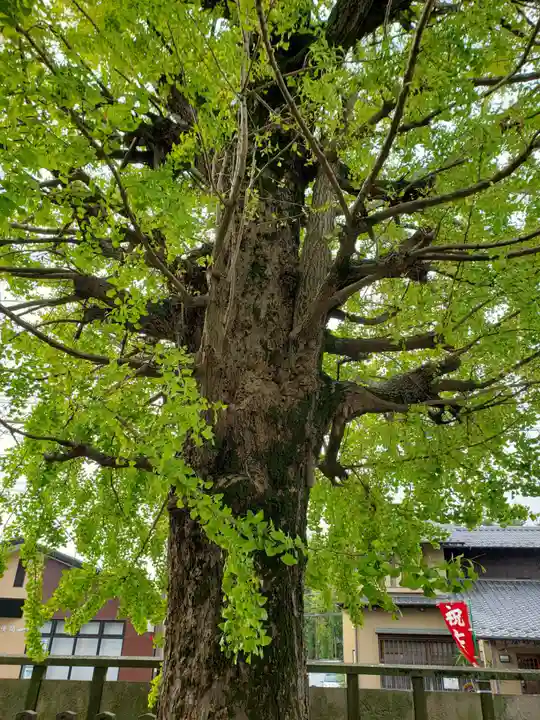 総願寺のその他建物