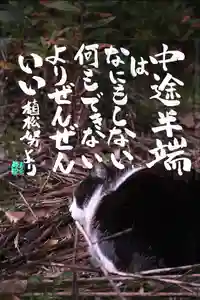 専念寺(大阪府)(2023年02月06日(月) 21時08分50秒投稿)