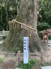 伊弉諾神宮の自然