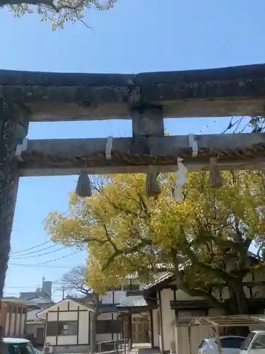 佐賀縣護國神社の鳥居