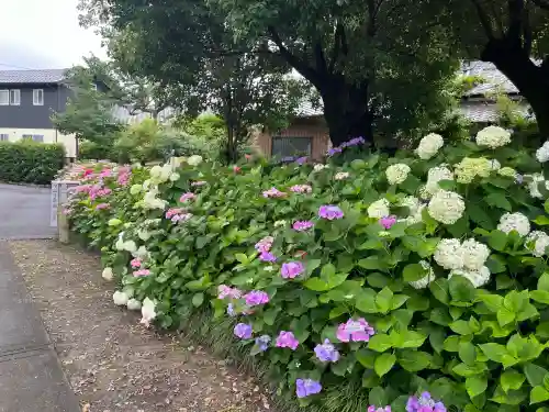 酒見神社(愛知県)