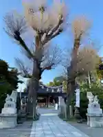亀ケ池八幡宮の自然
