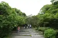 天開稲荷社の自然