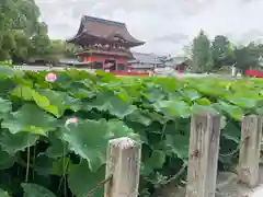 伊賀八幡宮(愛知県)