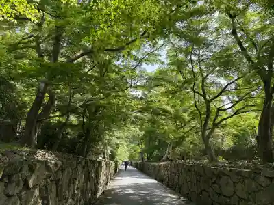 興聖寺（興聖寶林禅寺）の{uncategorized: "未分類", other: "その他", undefined: "問題あり", building: "その他建物", grave: "お墓", sacred_gate: "鳥居", guardian: "狛犬", statue: "像", buddha: "仏像", history: "歴史", nature: "自然", garden: "庭園", animal: "動物", pagoda: "塔", temizu: "手水舎", mountain_gate: "山門・神門", sanctuary: "本殿・本堂", subordinate: "末社・摂社", art: "芸術", scenery: "景色", jizo: "地蔵", ema: "絵馬", goshuin: "御朱印", omikuji: "おみくじ", items: "授与品その他", amulet: "お守り", goshuincho: "御朱印帳", eats: "食事", festival: "お祭り", votive_dance: "神楽", shichigosan: "七五三参", wedding: "結婚式", experience: "体験その他", initially: "初詣", around: "周辺", anti_infection: "感染症対策"}