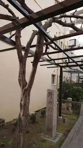 藤之宮　春日神社（野田の藤跡）の自然