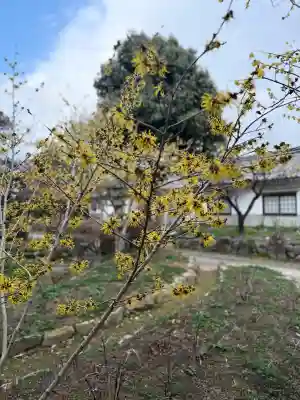石光寺(奈良県)