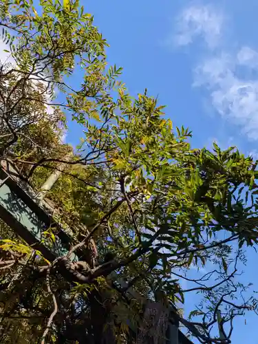 國領神社(東京都)