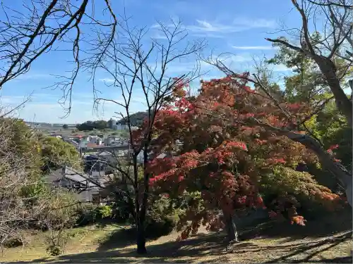 八雲神社(緑町)(栃木県)