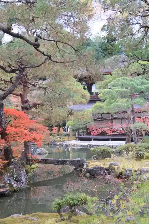 慈照寺(慈照禅寺・銀閣寺)の庭園
