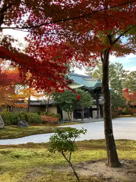 高台寺(高台寿聖禅寺・高臺寺)(京都府)