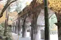 南禅寺(京都府)