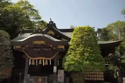 春日部八幡神社の本殿・本堂