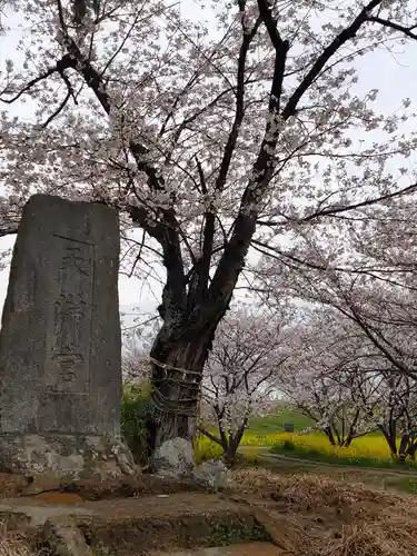 三軒家の鬼門除け稲荷の自然