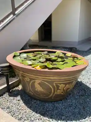 観音寺のその他建物